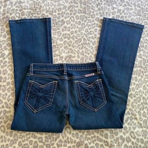 Y2k embroidered Hudson lowrise flare jeans